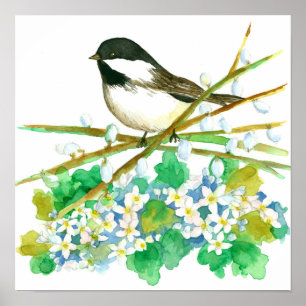 Chickadee Bird Watercolor Spring Catkins Poster