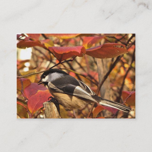 Chickadee Bird with Pink Autumn Foliage ATC Business Card (Front)