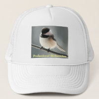 Chickadee Birdwatcher