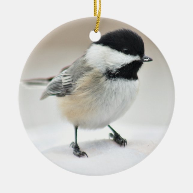 Chickadee Ceramic Tree Decoration (Front)