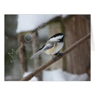 Chickadee Christmas Card