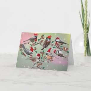 Chickadee Christmas Holiday Card