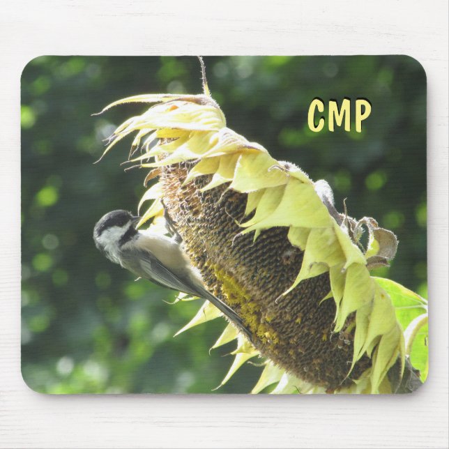 Chickadee Eating Sunflower seeds Mouse Pad (Front)