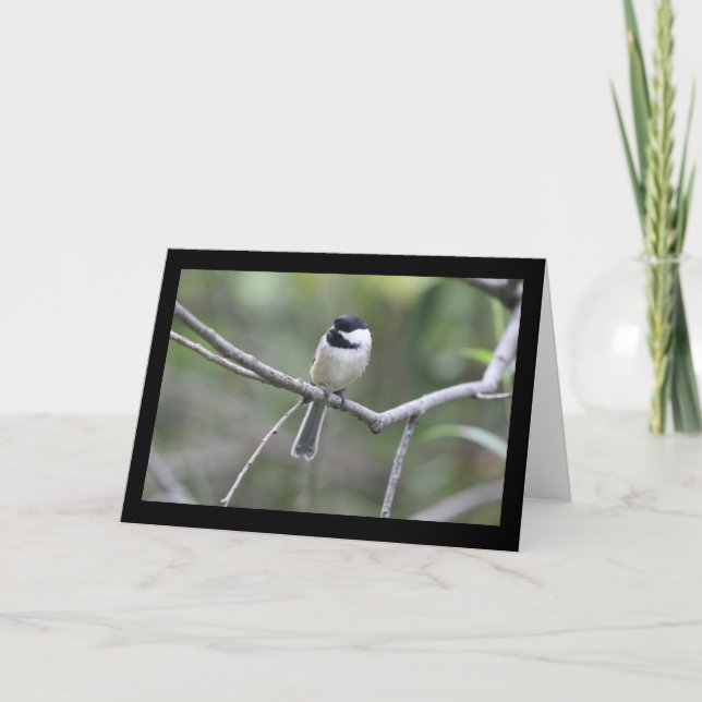 Chickadee Greeting Card (Front)