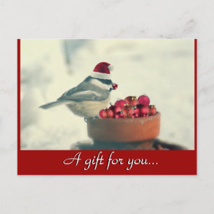 Chickadee Holiday Gift Certificate Postcard