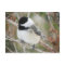 Chickadee in a Snowstorm