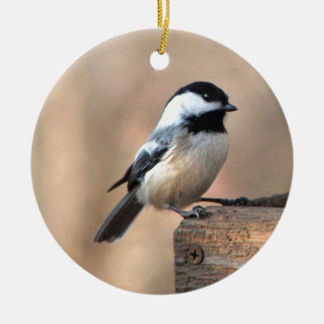 Chickadee in Golden Light Ceramic Ornament (Front)