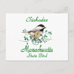 Chickadee Massachusetts State Bird Postcard