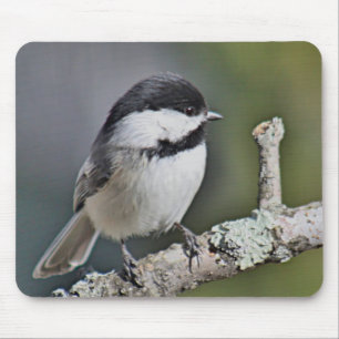 Chickadee Mouse Pad