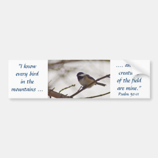 Chickadee on a Twig Bumper Sticker