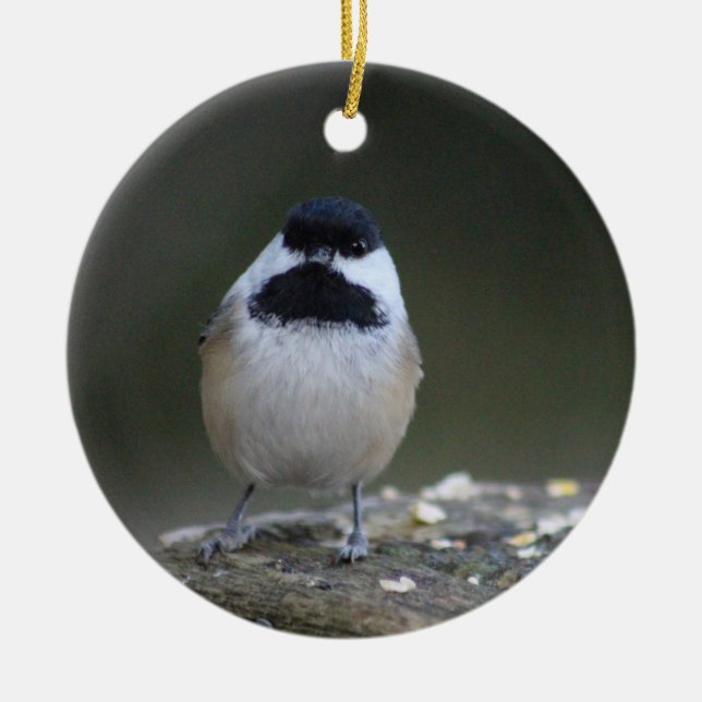 Chickadee ornament (Front)