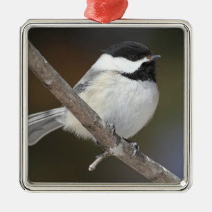 Chickadee Ornament