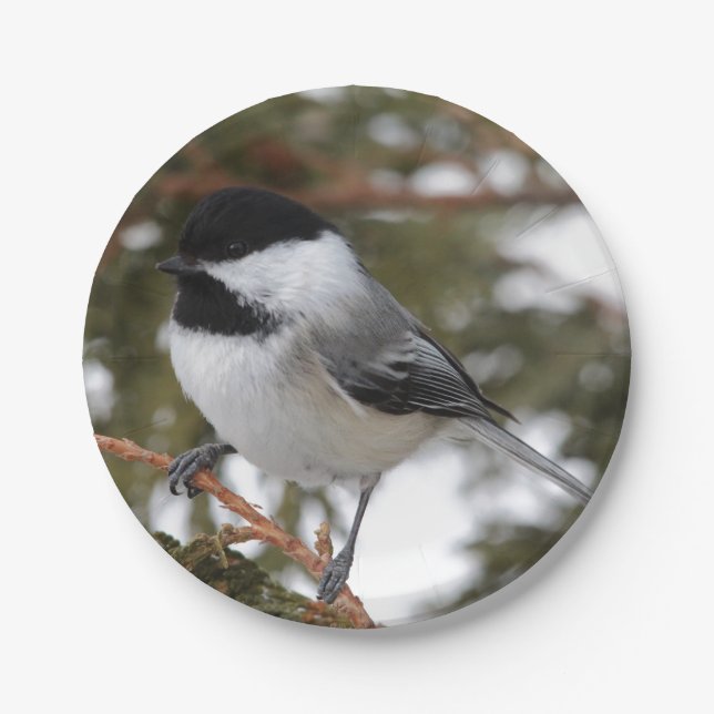 Chickadee Paper Plate (Front)