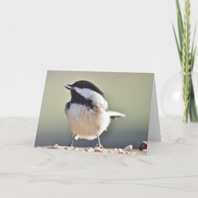 Chickadee photography card (Front)