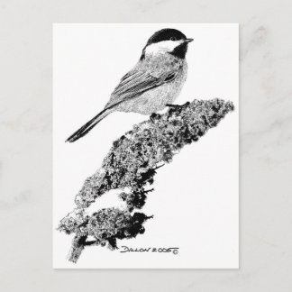 Chickadee Postcard