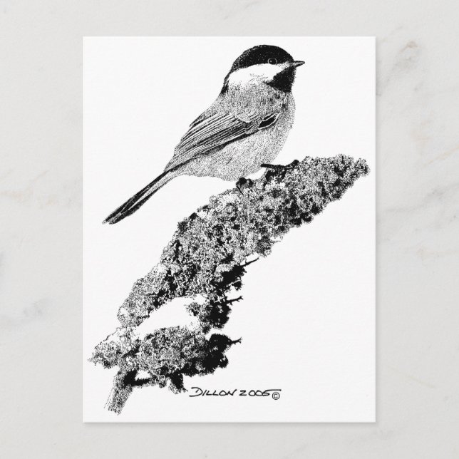Chickadee Postcard (Front)