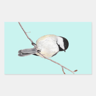 Chickadee Rectangular Sticker
