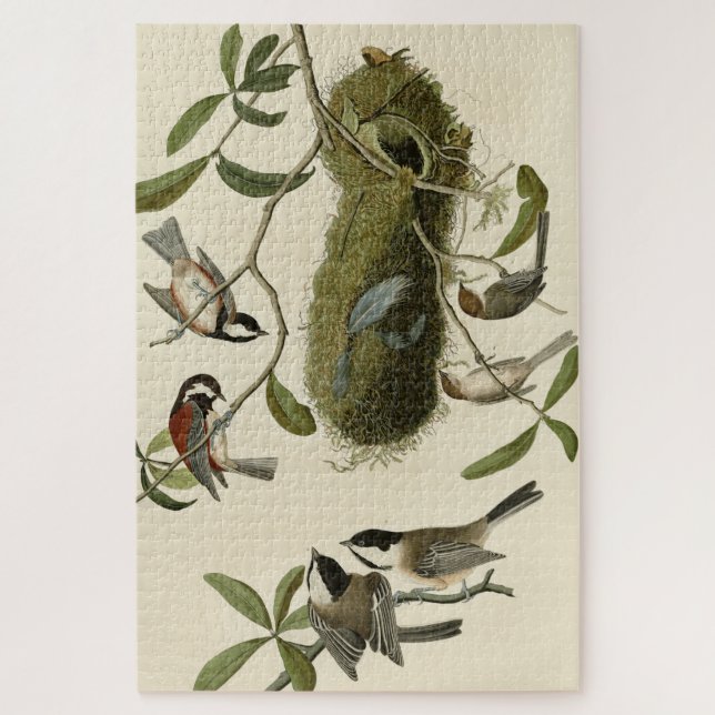 Chickadees and Bushtit, Audubon's Birds of America Jigsaw Puzzle (Vertical)