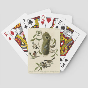 Chickadees and Bushtit, Audubon's Birds of America Playing Cards