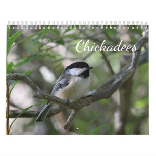 Chickadees Calendar