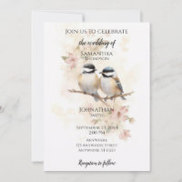 Chickadees