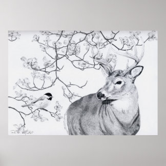 Chickadee's Song Poster