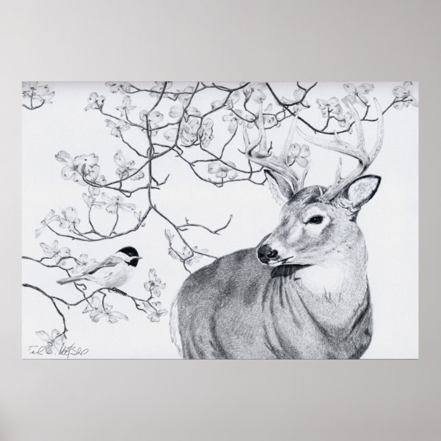 Chickadee's Song Poster (Front)