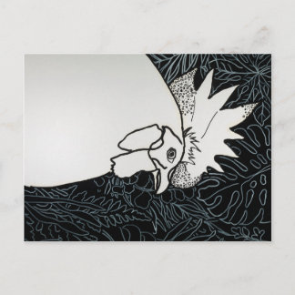 Chicken 1 postcard