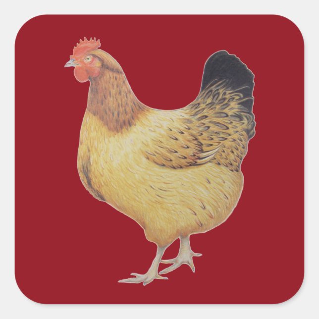 Chicken 2012 square sticker (Front)