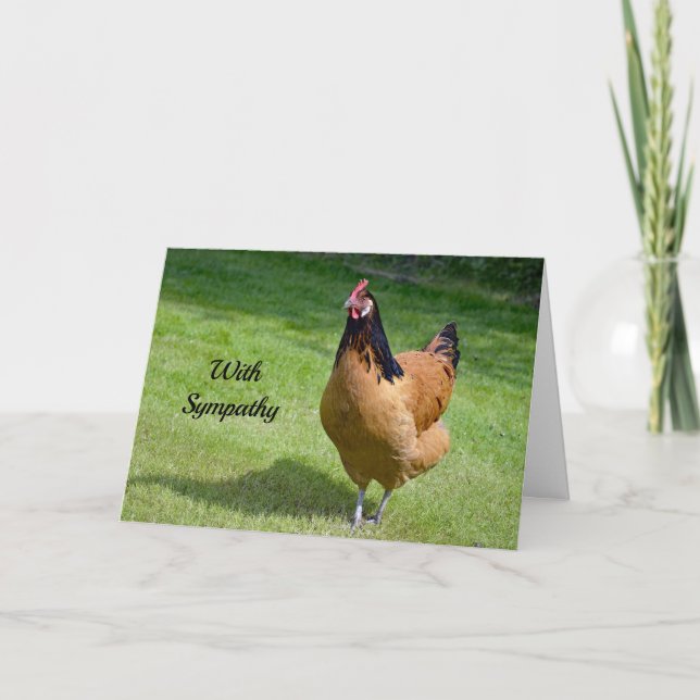 Chicken 3 Sympathy Card (Front)