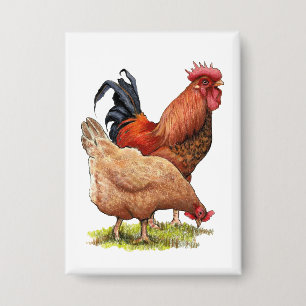 Chicken And Rooster Art, Poultry, Farm Animals