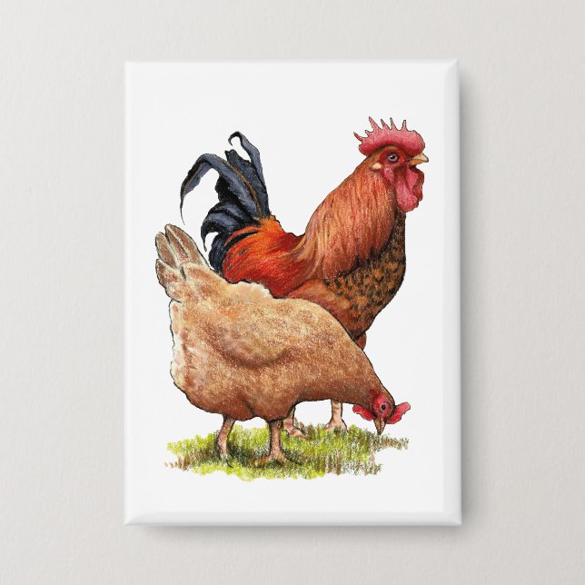 Chicken And Rooster Art, Poultry, Farm Animals (Front)