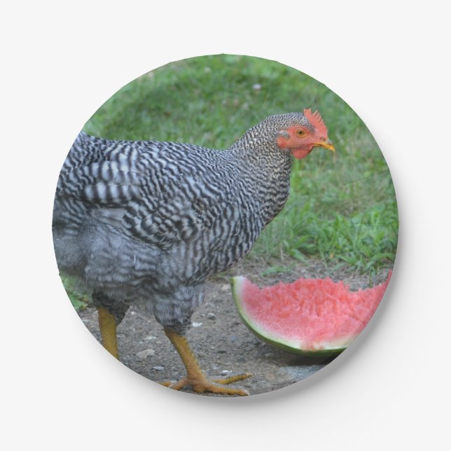Chicken and Watermelon Paper Plate (Front)