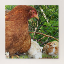 chicken, animal, chick, bird, farm, cute, puzzle,