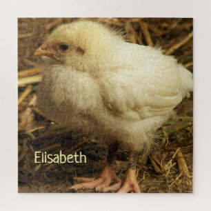 chicken, animal, chick, bird, farm, cute, puzzle,  jigsaw puzzle