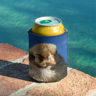 chicken, animal, chick, bird, farm,mask, cute, can cooler