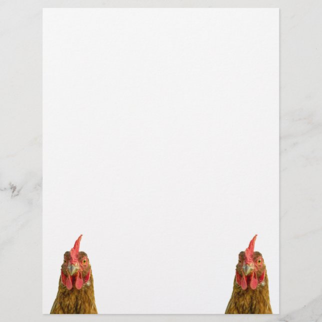 Chicken Animal Portraits Paper (Front)