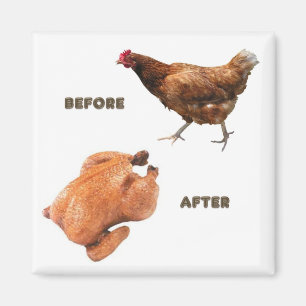 Chicken Before and After Magnet