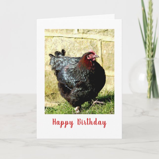 Chicken Birthday Card (Front)