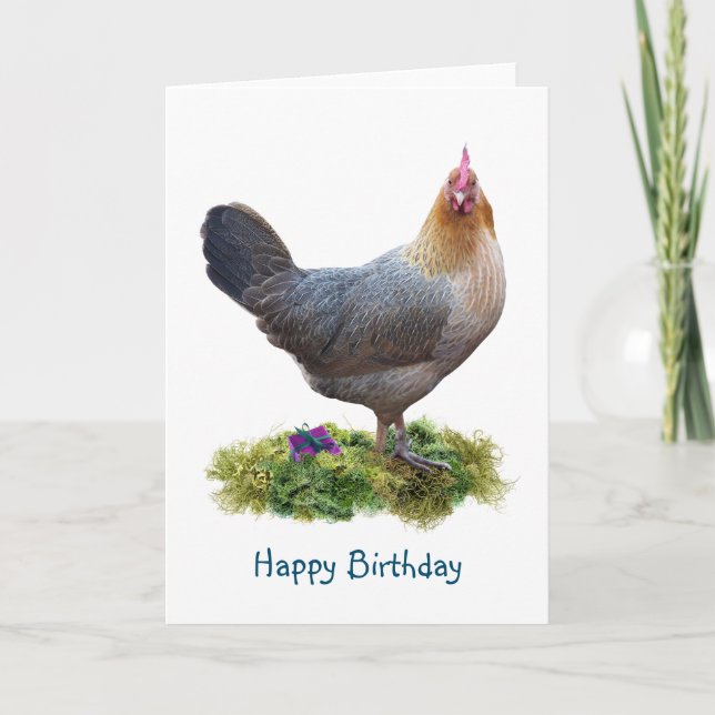 Chicken Birthday Card (Front)