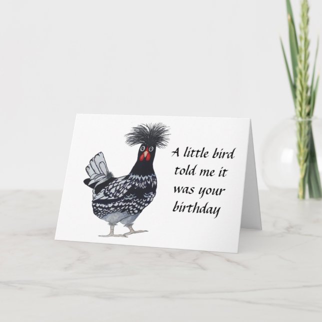 Chicken birthday card - Spike (Front)