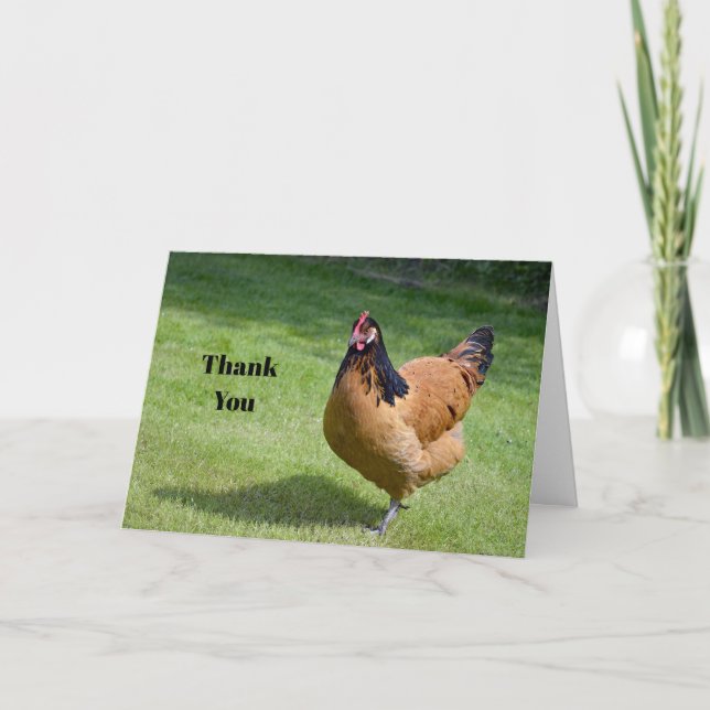 Chicken Black and Gold Vorwerk Photo Thank You Card (Front)