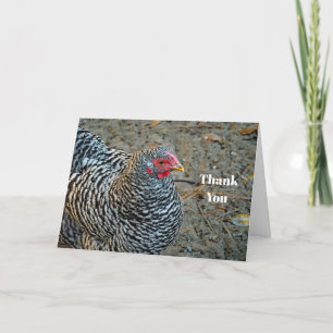 Chicken Black and White Hen Photo Thank You Card