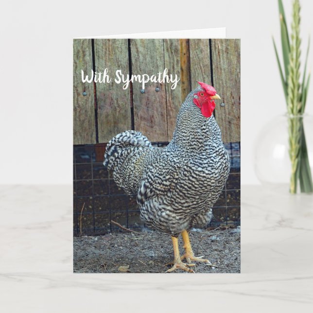 Chicken Black and White Rooster Photo Sympathy Card (Front)
