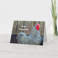 Chicken Black and White Rooster Photo Sympathy