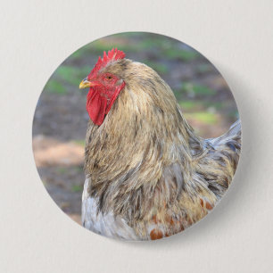 Chicken Button