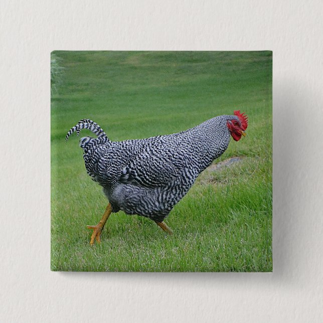 Chicken Button (Front)