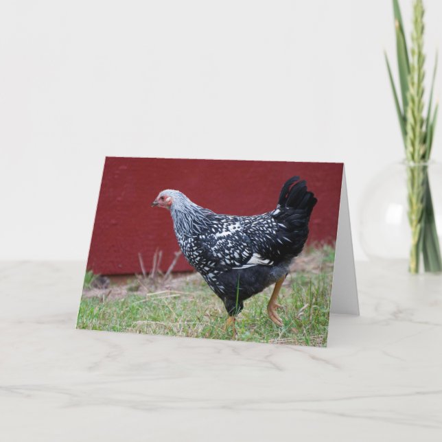 Chicken! Card (Front)