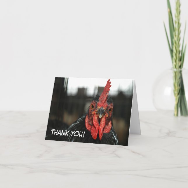 CHICKEN CARD: Thank you (Front)