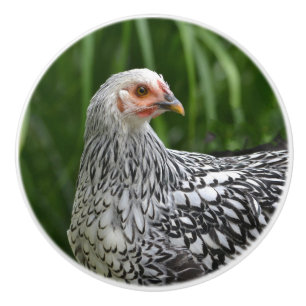 Chicken Ceramic Knob